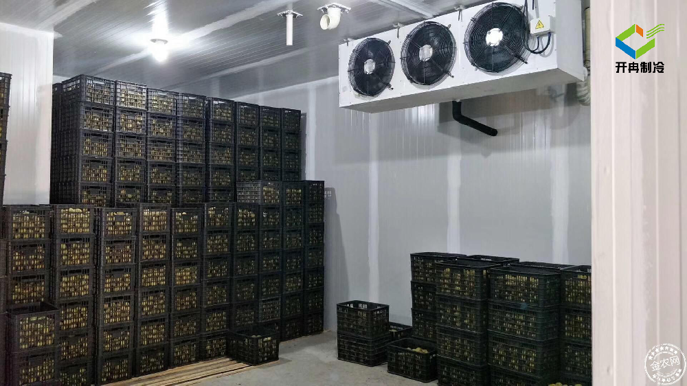建造一個(gè)100噸的水果保鮮冷庫多少錢？