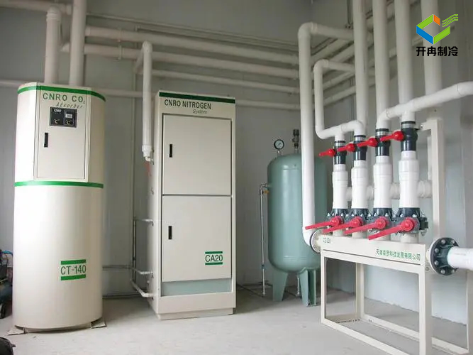 建造一個(gè)100噸的水果保鮮冷庫多少錢？