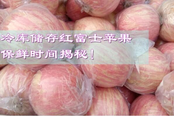 冷庫儲(chǔ)存紅富士蘋果，保鮮時(shí)間揭秘!
