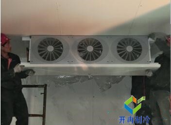 東莞100平水果保鮮冷庫造價(jià)大概要多少錢？
