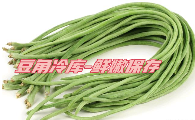 豆角工業(yè)冷庫(kù)：鮮嫩保存，一年四季供應(yīng)
