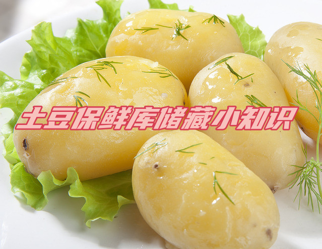 土豆保鮮庫(kù)儲(chǔ)存方法解析，延長(zhǎng)土豆保鮮期的秘訣