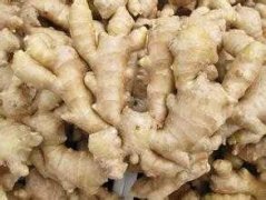 建個(gè)1000噸生姜冷庫(kù)大概需要投資多少錢？