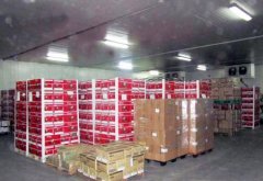 3000立方米水果保鮮庫需要投資多少錢？
