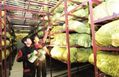 1000立方果蔬保鮮庫設(shè)計(jì)安裝要多少錢？