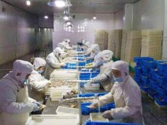 安裝一個(gè)3000立方低溫冷凍庫需要投資多少錢？