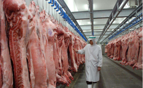2000立方凍肉冷庫(kù) 2000立方凍肉冷庫(kù)