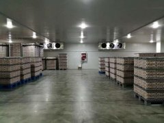 3000噸食品冷藏庫安裝造價是多少？