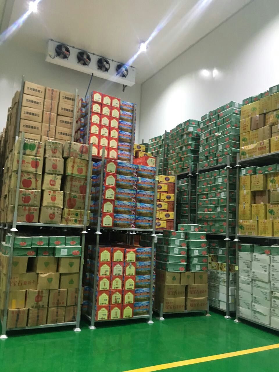5000噸香梨保鮮冷庫(kù) 5000噸香梨保鮮冷庫(kù)