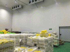 1000平方米果蔬冷庫安裝需要多少錢？