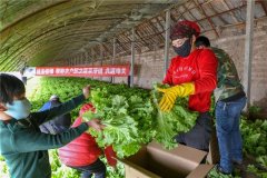 一場(chǎng)疫情，突出了冷庫(kù)的重要性！