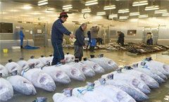 2000噸魚類冷庫安裝需要多少錢？