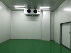 大型生鮮配送冷庫選址及（水產(chǎn)冷凍庫）設計方案報價