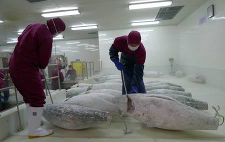 浙江-60℃超低溫凍庫(kù)