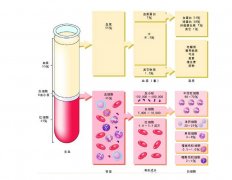 -30℃～-80℃血漿蛋白低溫冷凍庫(kù)規(guī)范，冷庫(kù)安裝價(jià)格