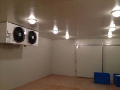 220V能建冷庫多大？（低溫冷庫）