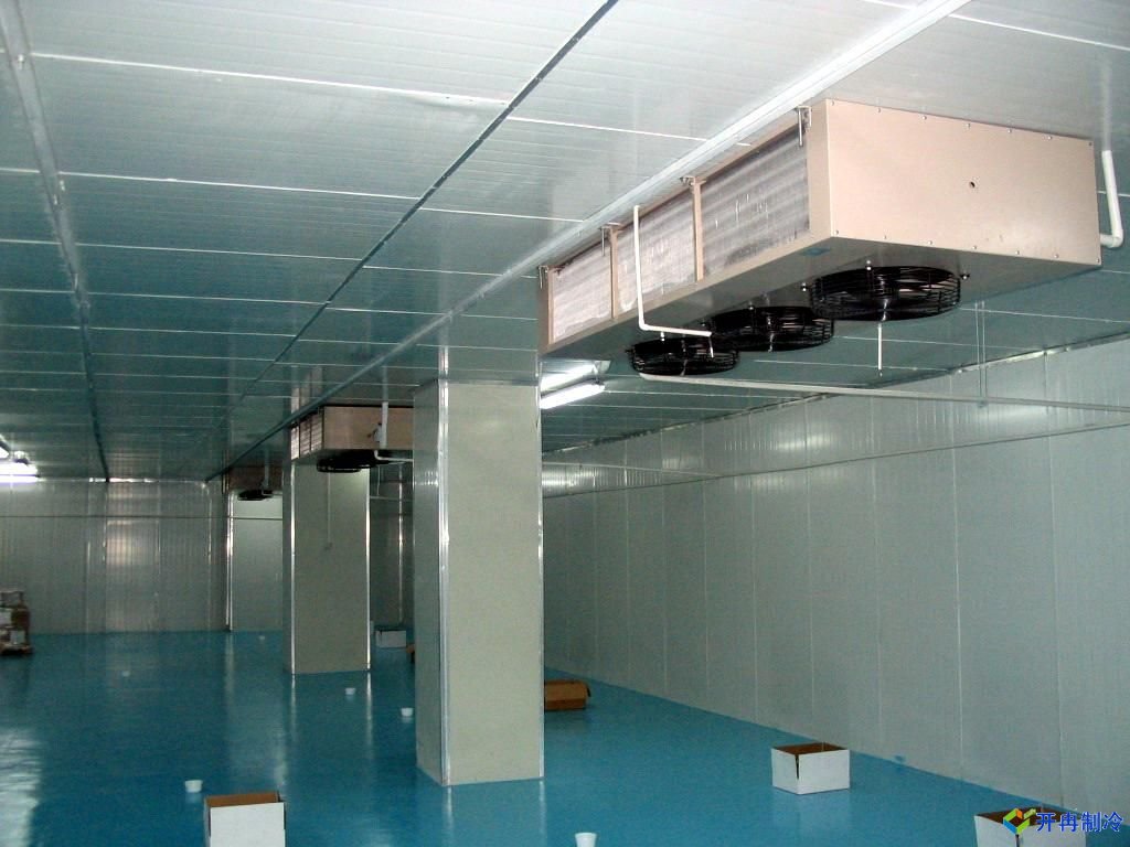 設(shè)計(jì)一個(gè)700噸冷凍庫造價(jià)多少錢？冷藏庫設(shè)備造價(jià)