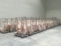 1000平牛肉冷藏庫(kù)造價(jià)多少錢，低溫凍肉冷庫(kù)建造