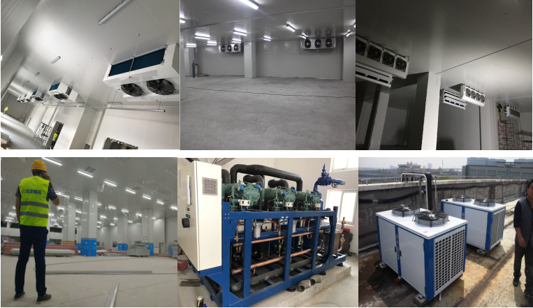 http://www.rtgfn.com/gongchenganli/shipin/1230.html