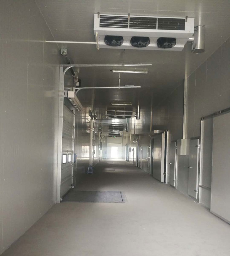 -25℃低溫海鮮魚肉加工廠冷凍庫安裝設計標準費用多少？